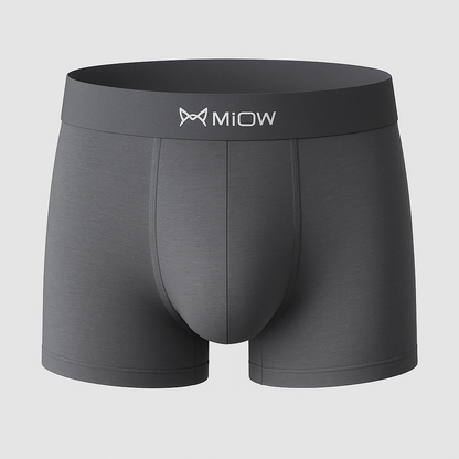 Frost Boxer Pro™ – Zijde IJs Thermo Boxershort – [KOOP 5, KRIJG 10]